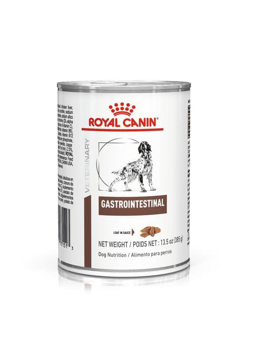 Royal canin LATA GASTROINTESTINAL X 385 G